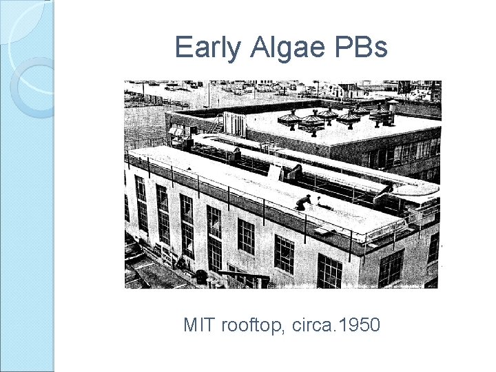 Early Algae PBs MIT rooftop, circa. 1950 