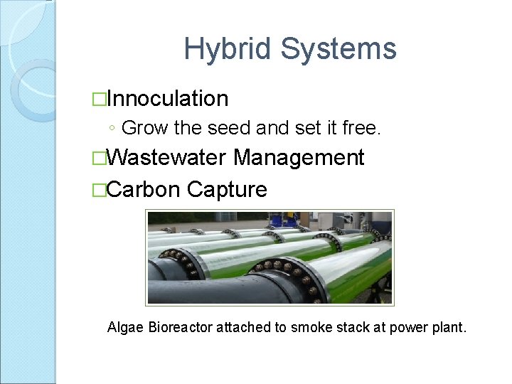 Hybrid Systems �Innoculation ◦ Grow the seed and set it free. �Wastewater Management �Carbon