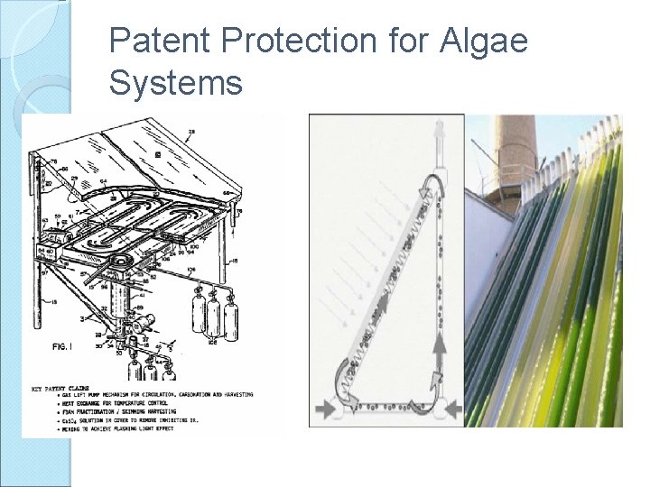 Patent Protection for Algae Systems 