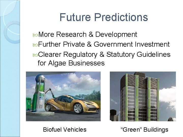 Future Predictions More Research & Development Further Private & Government Investment Clearer Regulatory &