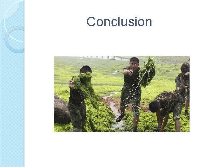 Conclusion 