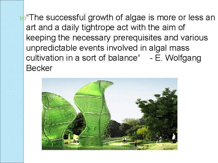  “The successful growth of algae is more or less an art and a