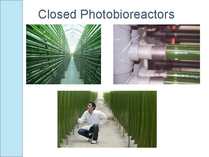 Closed Photobioreactors 