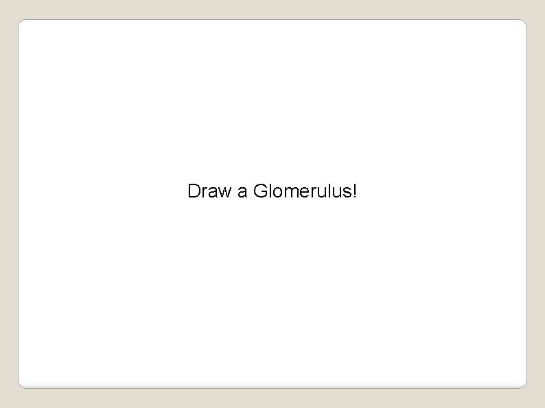 Draw a Glomerulus! 