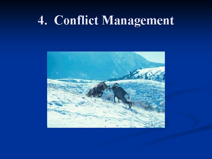4. Conflict Management 
