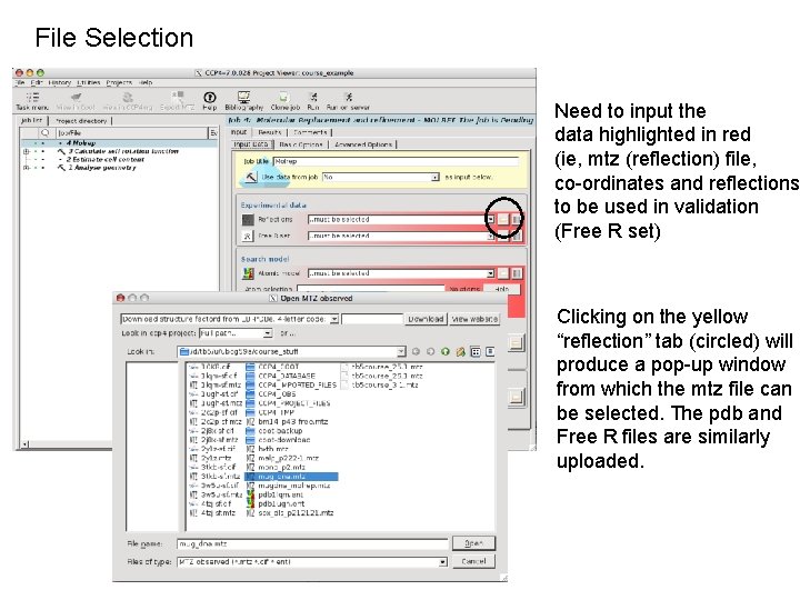 File Selection Need to input the data highlighted in red (ie, mtz (reflection) file,