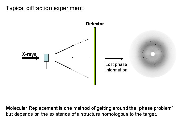 Typical diffraction experiment: Detector X-rays Lost phase information Molecular Replacement is one method of