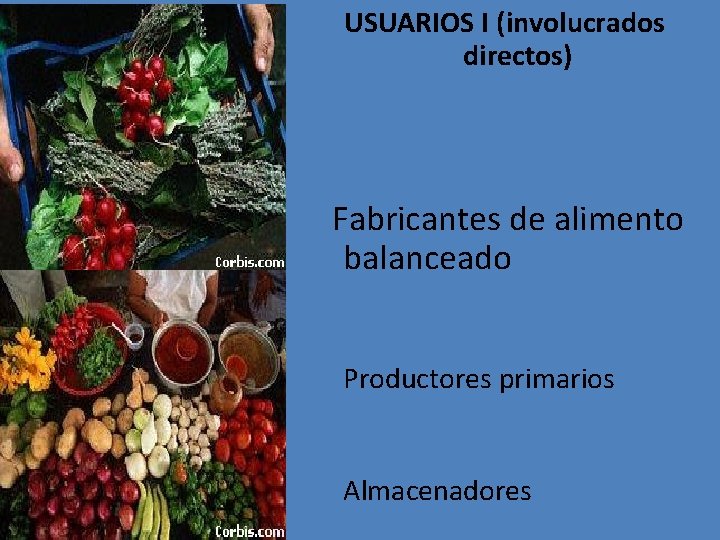 USUARIOS I (involucrados directos) Fabricantes de alimento balanceado Productores primarios Almacenadores 
