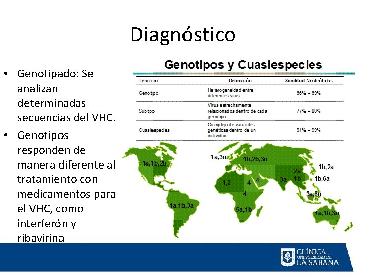 Diagnóstico • Genotipado: Se analizan determinadas secuencias del VHC. • Genotipos responden de manera