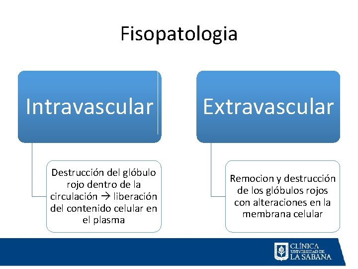 Fisopatologia Intravascular Destrucción del glóbulo rojo dentro de la circulación liberación del contenido celular