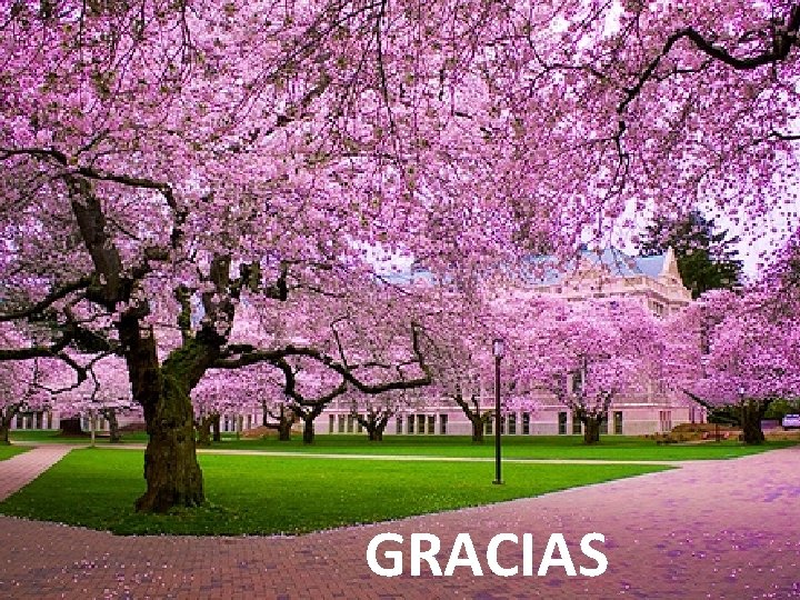 GRACIAS 