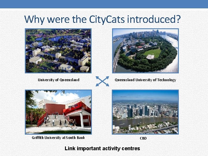 Why were the City. Cats introduced? University of Queensland Griffith University at South Bank