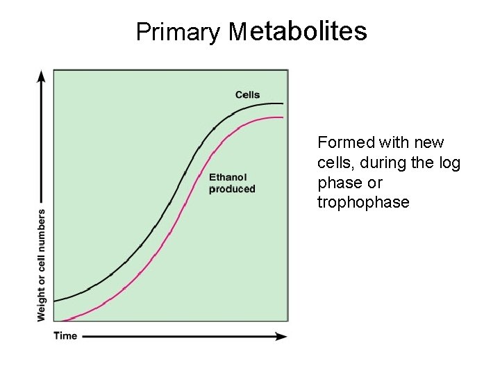 Primary Metabolites Formed with new cells, during the log phase or trophophase 