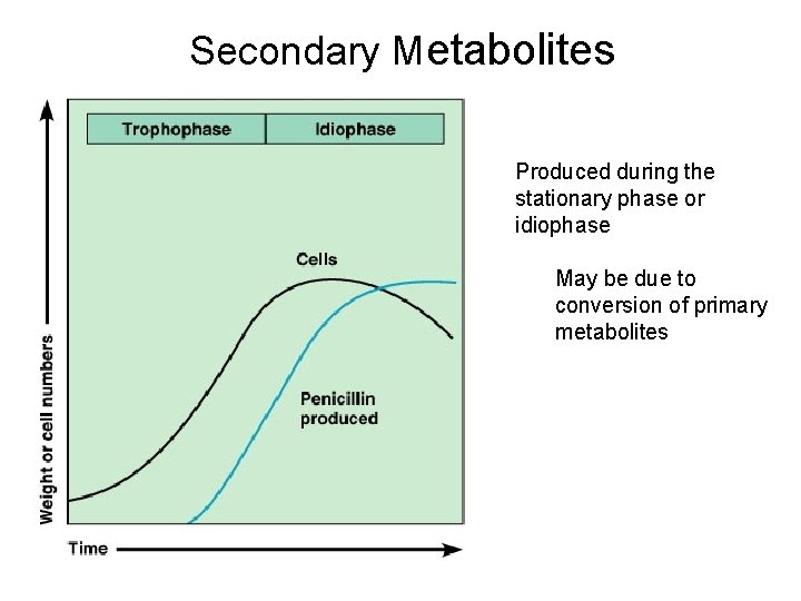 Secondary Metabolites Produced during the stationary phase or idiophase May be due to conversion