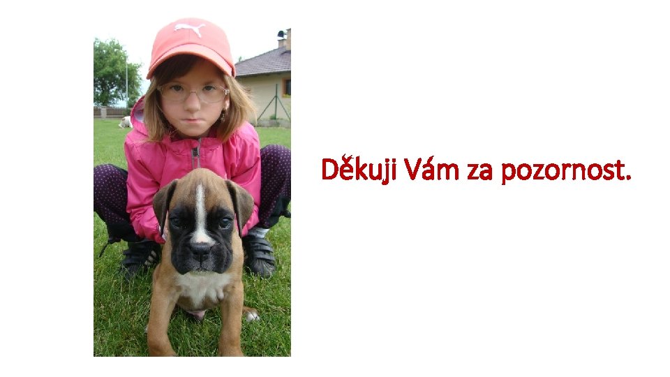 Děkuji Vám za pozornost. 