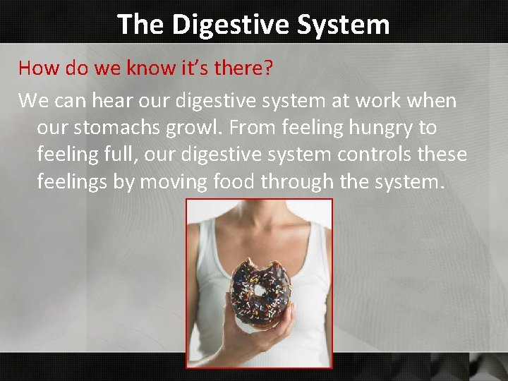 The Digestive System How do we know it’s there? We can hear our digestive