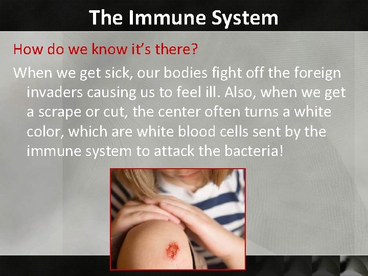 The Immune System How do we know it’s there? When we get sick, our