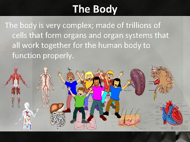 The Body The body is very complex; made of trillions of cells that form