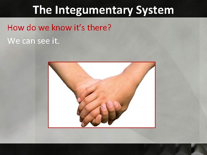 The Integumentary System How do we know it’s there? We can see it. The Integumentary System How do we know it’s there? We can see it.