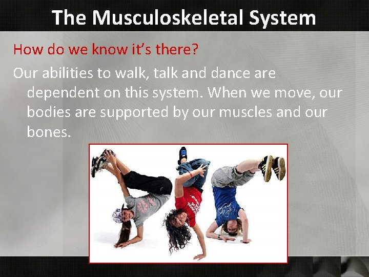 The Musculoskeletal System How do we know it’s there? Our abilities to walk, talk