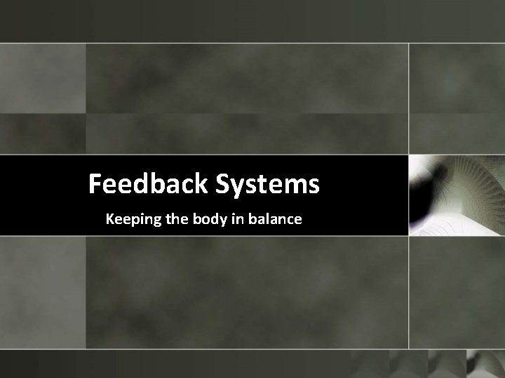 Feedback Systems Keeping the body in balance 