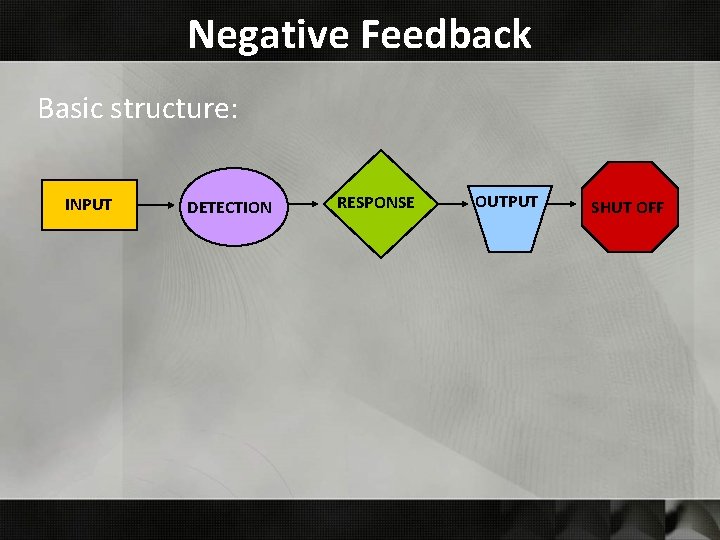 Negative Feedback Basic structure: INPUT DETECTION RESPONSE OUTPUT SHUT OFF 