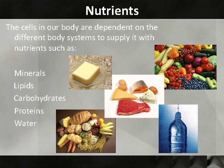 Nutrients The cells in our body are dependent on the different body systems to