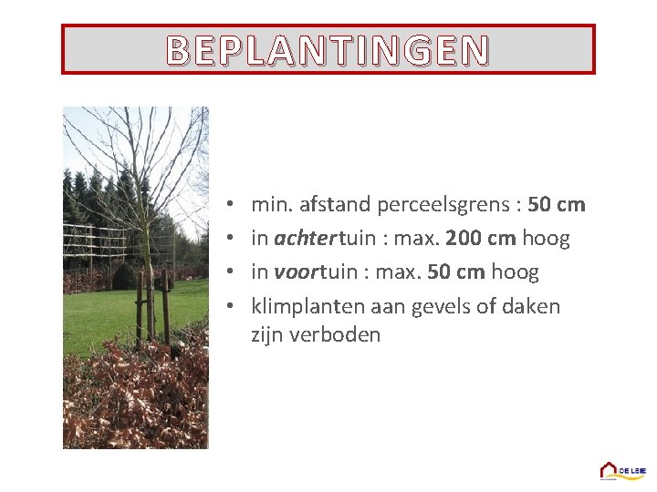 BEPLANTINGEN • • min. afstand perceelsgrens : 50 cm in achter tuin : max.