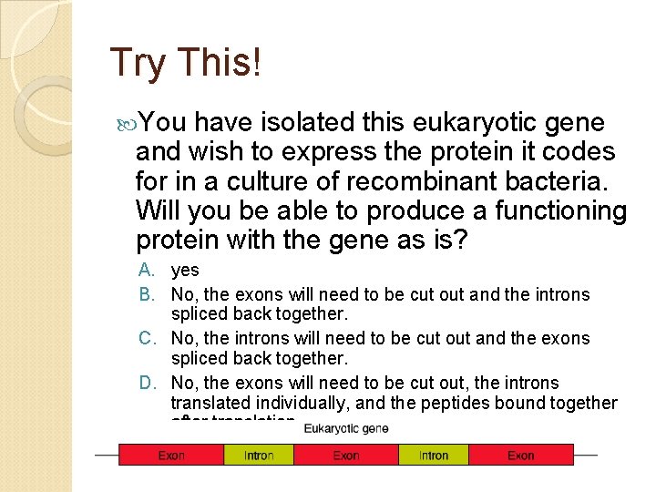 Try This! You have isolated this eukaryotic gene and wish to express the protein