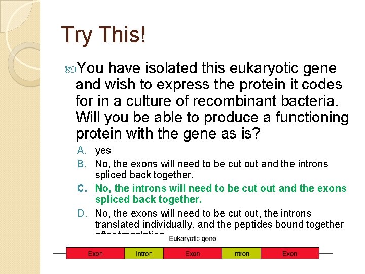 Try This! You have isolated this eukaryotic gene and wish to express the protein