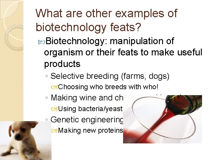 What are other examples of biotechnology feats? Biotechnology: manipulation of organism or their feats