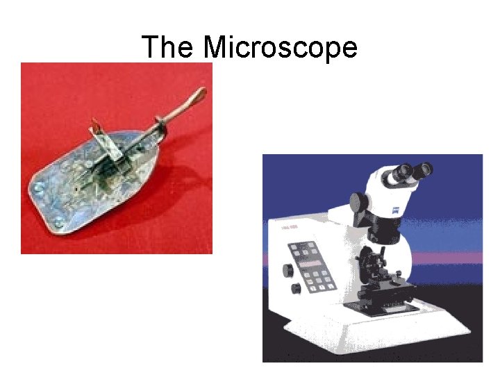 The Microscope 