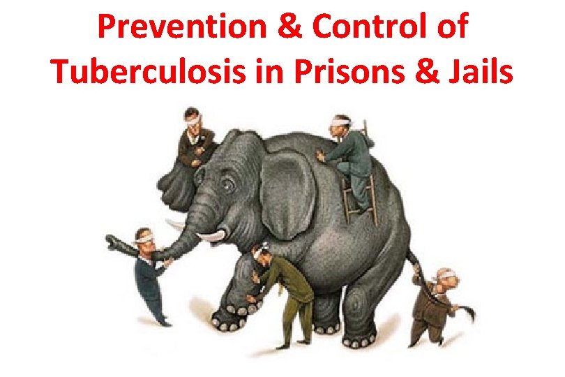 Prevention & Control of Tuberculosis in Prisons & Jails 