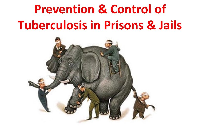 Prevention & Control of Tuberculosis in Prisons & Jails 