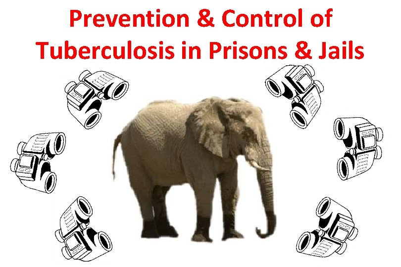 Prevention & Control of Tuberculosis in Prisons & Jails 