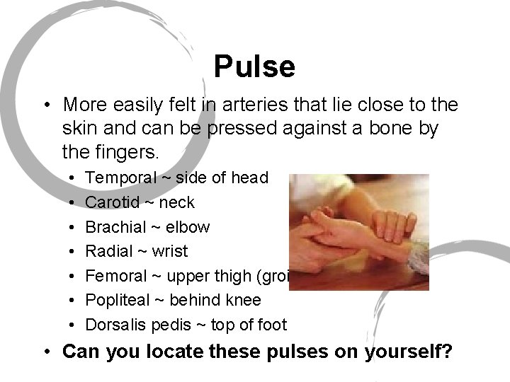 Pulse • More easily felt in arteries that lie close to the skin and