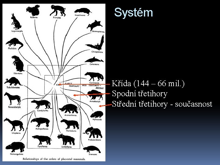 Systém Křída (144 – 66 mil. ) Spodní třetihory Střední třetihory - současnost 