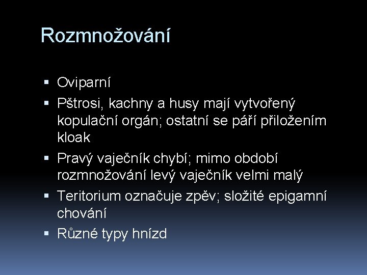 Rozmnožování Oviparní Pštrosi, kachny a husy mají vytvořený kopulační orgán; ostatní se páří přiložením