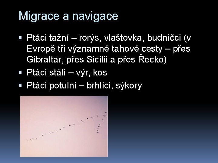 Migrace a navigace Ptáci tažní – rorýs, vlaštovka, budníčci (v Evropě tři významné tahové