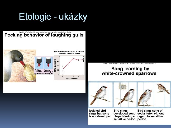 Etologie - ukázky 