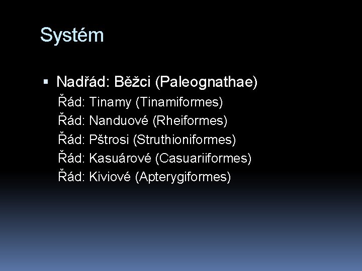 Systém Nadřád: Běžci (Paleognathae) Řád: Tinamy (Tinamiformes) Řád: Nanduové (Rheiformes) Řád: Pštrosi (Struthioniformes) Řád: