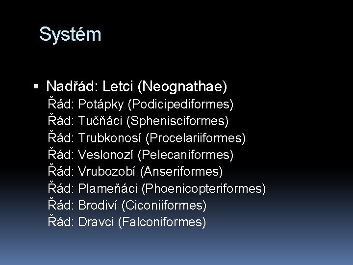 Systém Nadřád: Letci (Neognathae) Řád: Potápky (Podicipediformes) Řád: Tučňáci (Sphenisciformes) Řád: Trubkonosí (Procelariiformes) Řád: