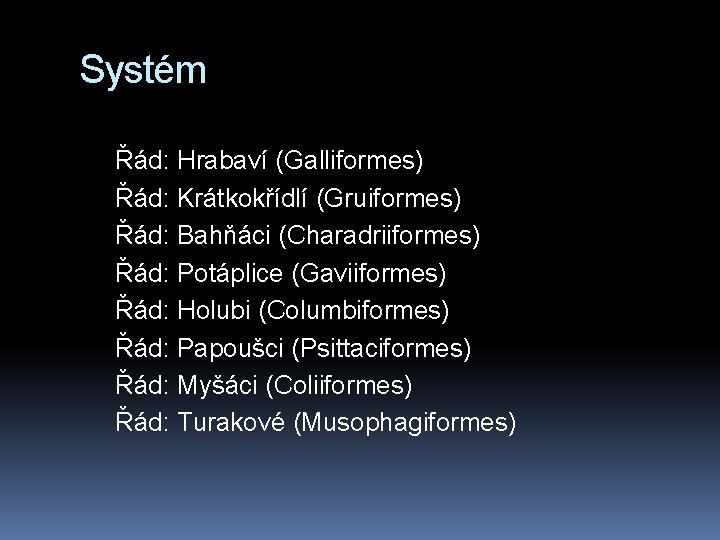 Systém Řád: Hrabaví (Galliformes) Řád: Krátkokřídlí (Gruiformes) Řád: Bahňáci (Charadriiformes) Řád: Potáplice (Gaviiformes) Řád: