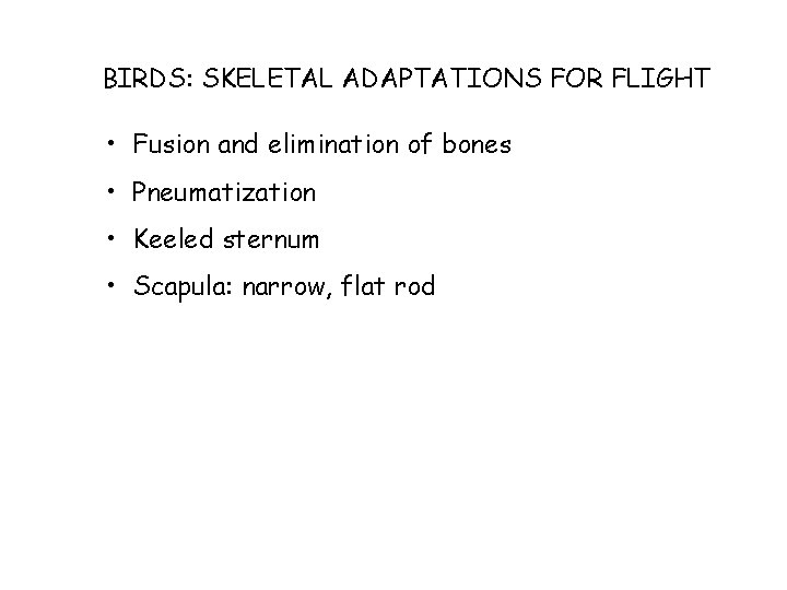 BIRDS: SKELETAL ADAPTATIONS FOR FLIGHT • Fusion and elimination of bones • Pneumatization •
