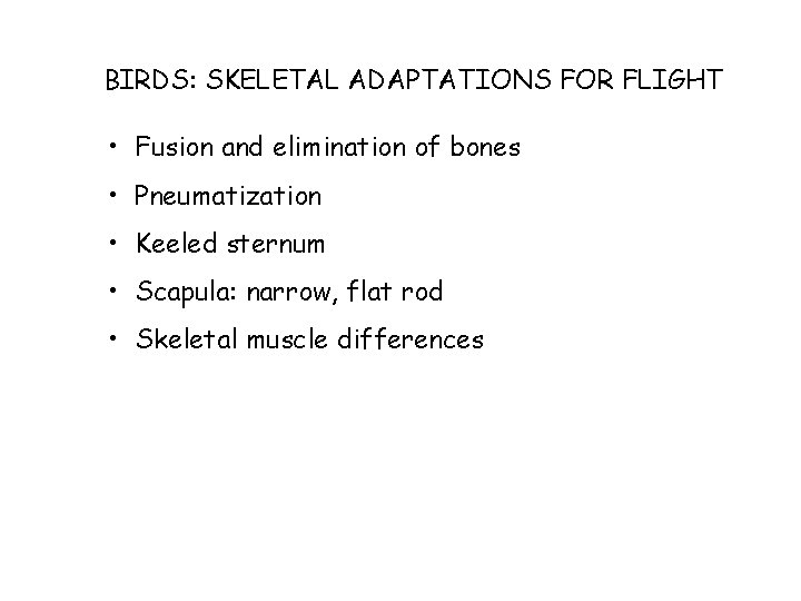 BIRDS: SKELETAL ADAPTATIONS FOR FLIGHT • Fusion and elimination of bones • Pneumatization •