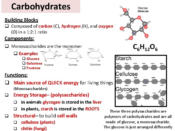 Carbohydrates Building Blocks q Composed of carbon (C), hydrogen (H), and oxygen (O) in