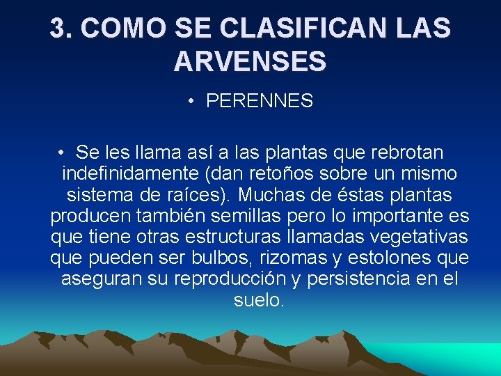 3. COMO SE CLASIFICAN LAS ARVENSES • PERENNES • Se les llama así a