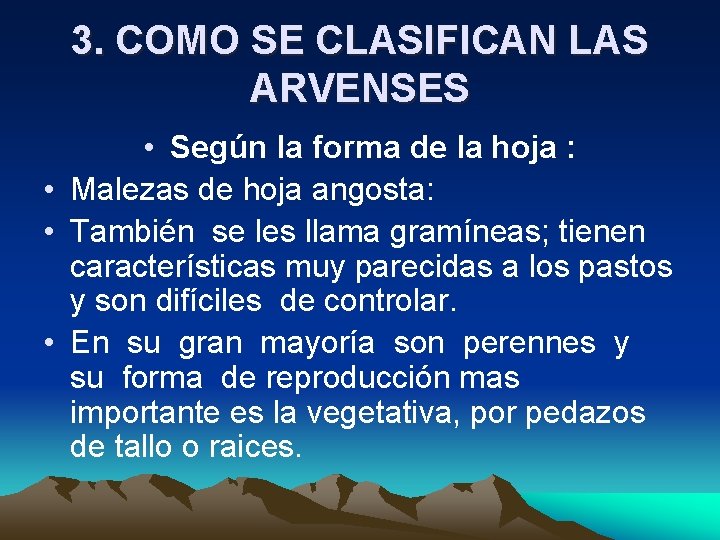 3. COMO SE CLASIFICAN LAS ARVENSES • Según la forma de la hoja :