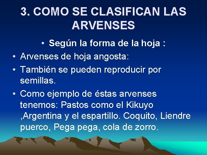 3. COMO SE CLASIFICAN LAS ARVENSES • Según la forma de la hoja :