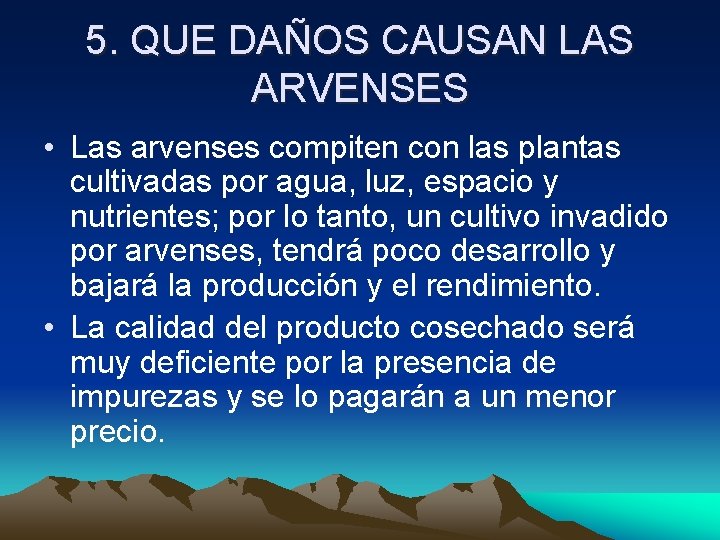 5. QUE DAÑOS CAUSAN LAS ARVENSES • Las arvenses compiten con las plantas cultivadas